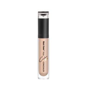 Full Cover Matte Concealer